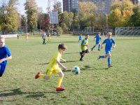 IMG_7907